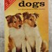 Dogs - Vintage Book