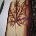 Woodland Art: Maple Leaf - Pyrography Log Cabin Decor