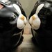 Vintage Collectible Black Cat Mugs Takahashi Coffee Cups
