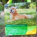 Dog food Market Tote Bag -Upcycled, Recycled Feed Bag