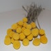 MEDIUM Craspedia (aka Billy Buttons or Billy Balls) Bunch - 40 Stems