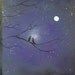 ORIGINAL Abstract Bird Oil Painting, Black and Blue Night Modern Tree Art on Canvas, 11 x 14, Tonight Is Ours