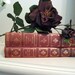 Vintage Shakespeare plays and The Scarlet Letter by Hawthorne,in beautiful embossed red and gold covers