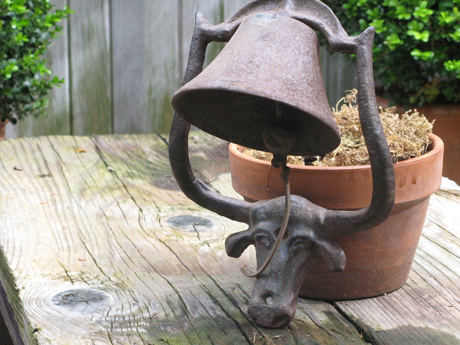 Longhorn Steer Cast Iron Dinner Bell by SterlingNielsen on Etsy
