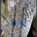 Our Lady of Banneux Earrings