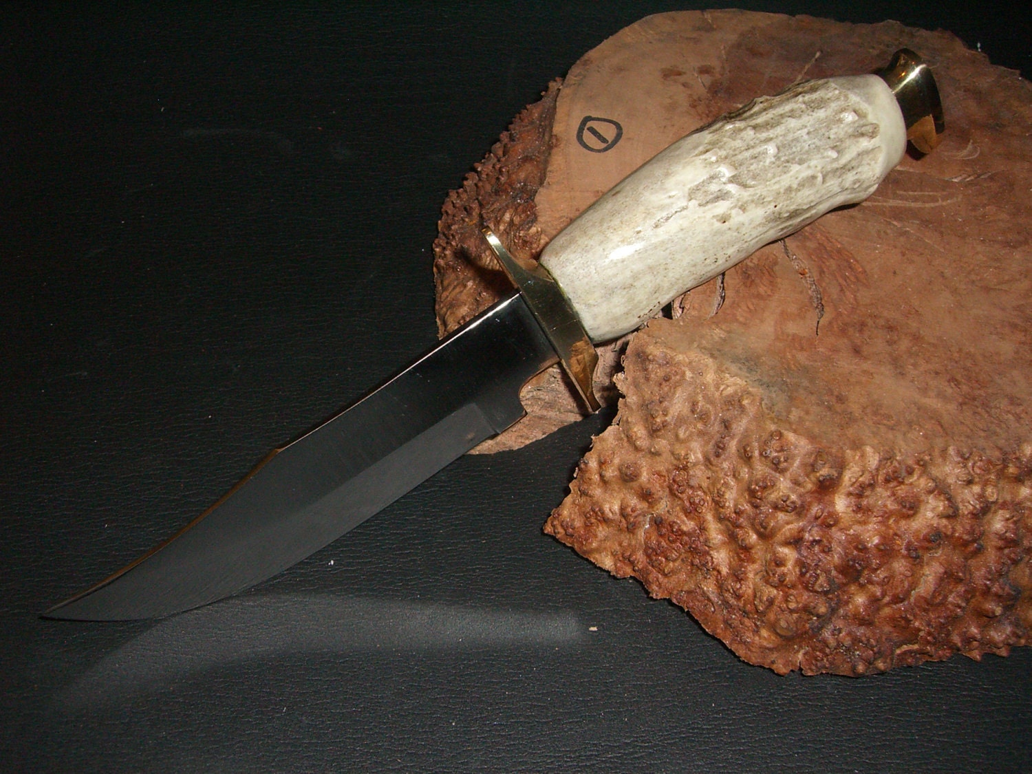 Carved Elk Stag Horn Handled 10.5 Bowie / Hunting Knife