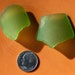 lime green genuine sea glass galveston texas gulf coast beach glass