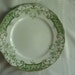 Rare Lovely Green Transferware Dinner Plate