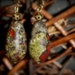 Vintage Antiqued Bronze Dragon Blood Drop Gemstone Earrings (E9)