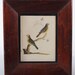 Vintage Miniature Walnut Frames Birds