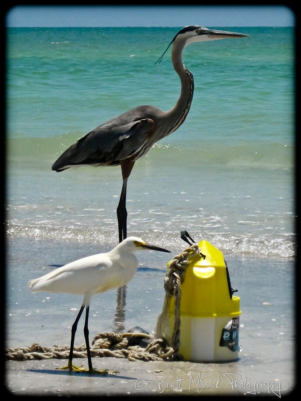 Request a custom order and have something made just for you.