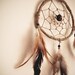 Dream Catcher - Brown Indian - With Natural Brown Feathers, Brown Frame and Nett - Home Decor, Mobile