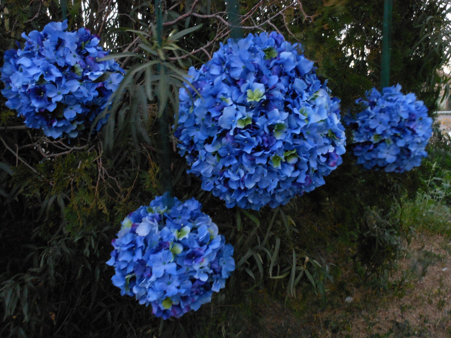 Blue Hydrangea Hanging Kissing Balls