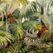 1897 Antique fine lithograph of HOUSEPLANTS. 115 years old gorgeous print.