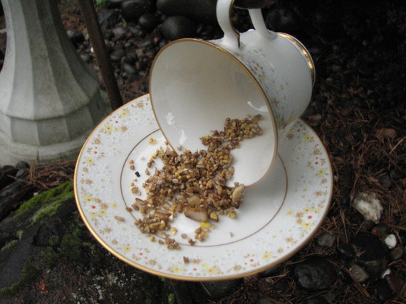 feeder vintage  Vintage Bird Teacup bird teacup Feeder Pattern