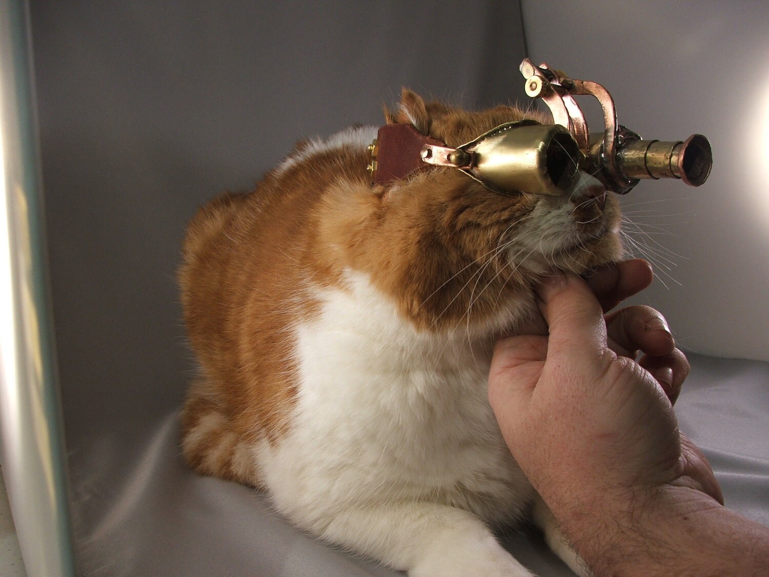 Steampunk Goggles for Cat Sized Creatures. All Metal.