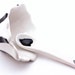 Porcelain Salt Container With Spoon In Black and White READY TO SHIP