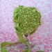 Newborn Baby Photography Prop, Newborn Prop, Baby Bonnet and Leg Warmers in Apple Green perfect for BIRTHday outfit or Baby Gift