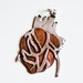 Anatomical Heart