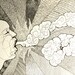 Long Exhale - Original Ink Line drawing - NOT A PRINT - small art