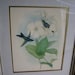 Framed Antique IB Fischer IBFCo Print John Gould 1940s Fork-Tailed Refulgent Woodnymph Hummingbird Blue Bird Lithograph Thalurania Refulgens