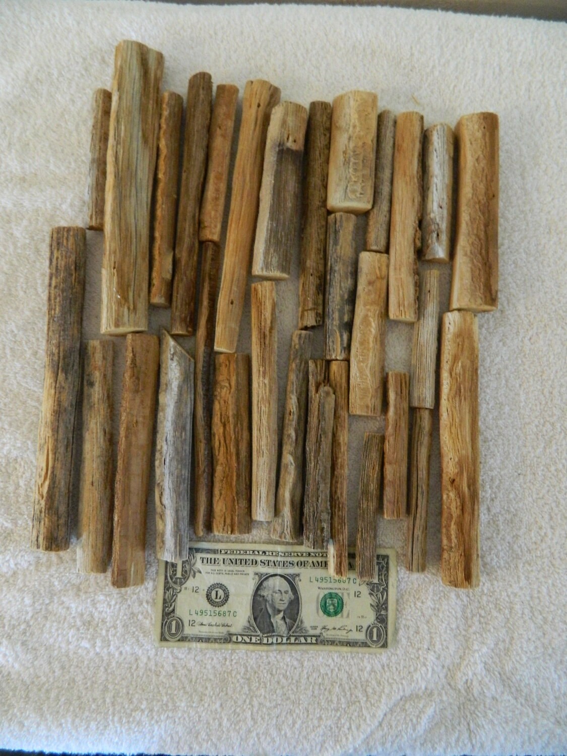 Lot Individual Saguaro Cactus Ribs by DesertGallery on Etsy