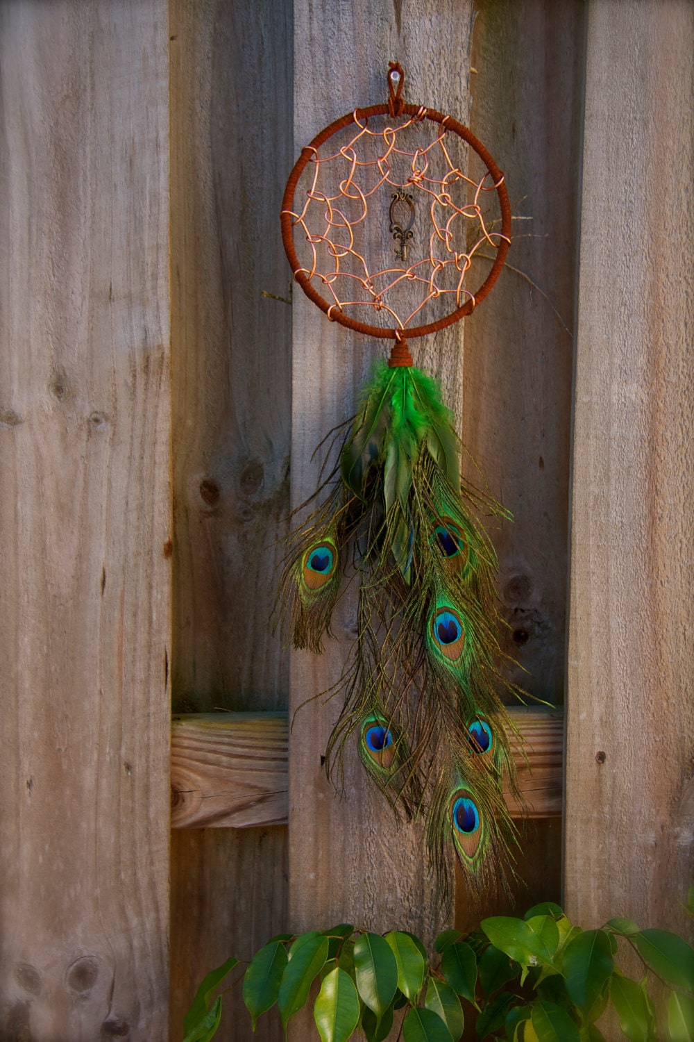 Dreamcatcher With Peacock Feathers Peacock feather dream by