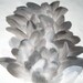 Grey Poultry Feathers for Art Projects, Fly tying and Native Art or Earrings