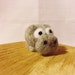 RESERVED for wanderlustosis - miniature hippopotamus figure - 100% corriedale wool