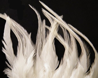 Craft Feathers White Weddings Natural White rooster craft feathers 2-4 inches long qty 12