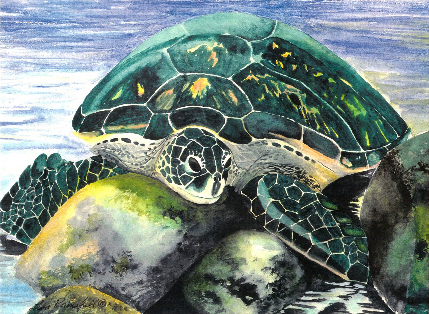 Sea Life Watercolor Turtle Sun Bathing Print