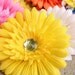 Pack of 4 Large daisy hair clips for children, Assortment of daisy flowers