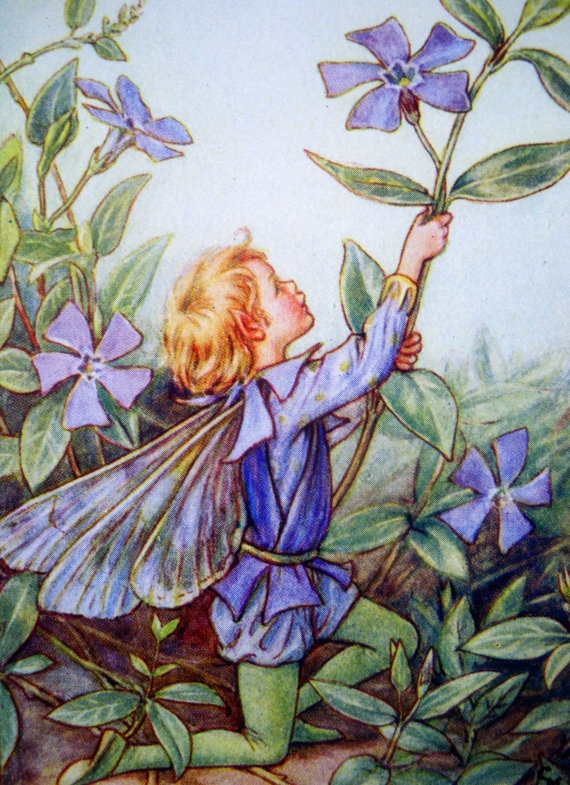 1930s Periwinkle FAIRY CICELY Mary BARKER by sandshoevintageprint