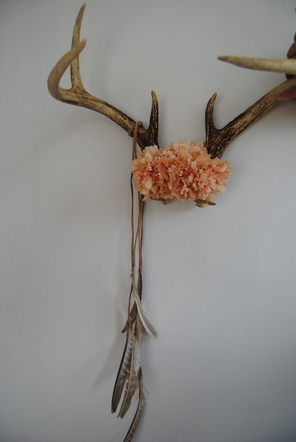Deer Antlers with Flowers & Feathers Wall Hanging Taxidermy