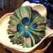 Simply Stetsin Hat/Hair Band (Peacock Feathers)