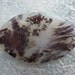 Reddish Purple Priday Plume in Milky Silica Agate, Very Rare