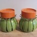 Orange Avocado Green Flower Salt & Pepper Shakers