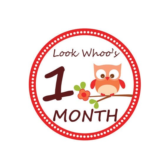 INSTANT DOWNLOAD - Monthly Owl Tummy Tags (Printable Stickers/Iron-on Transfers) Il_570xn