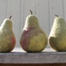 Set of 3 Needle Felted Wool Pears