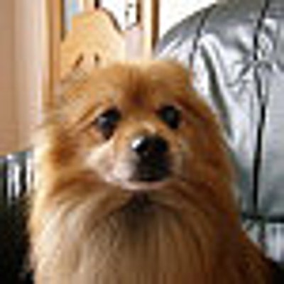 Geraldine