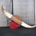 Vintage Cow/Steer/Bull Horns from Mexico
