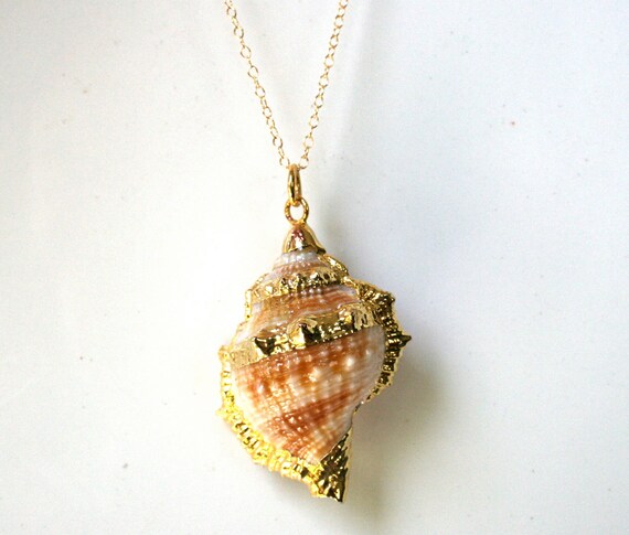 Gold Trimmed Sea Shell Necklace.