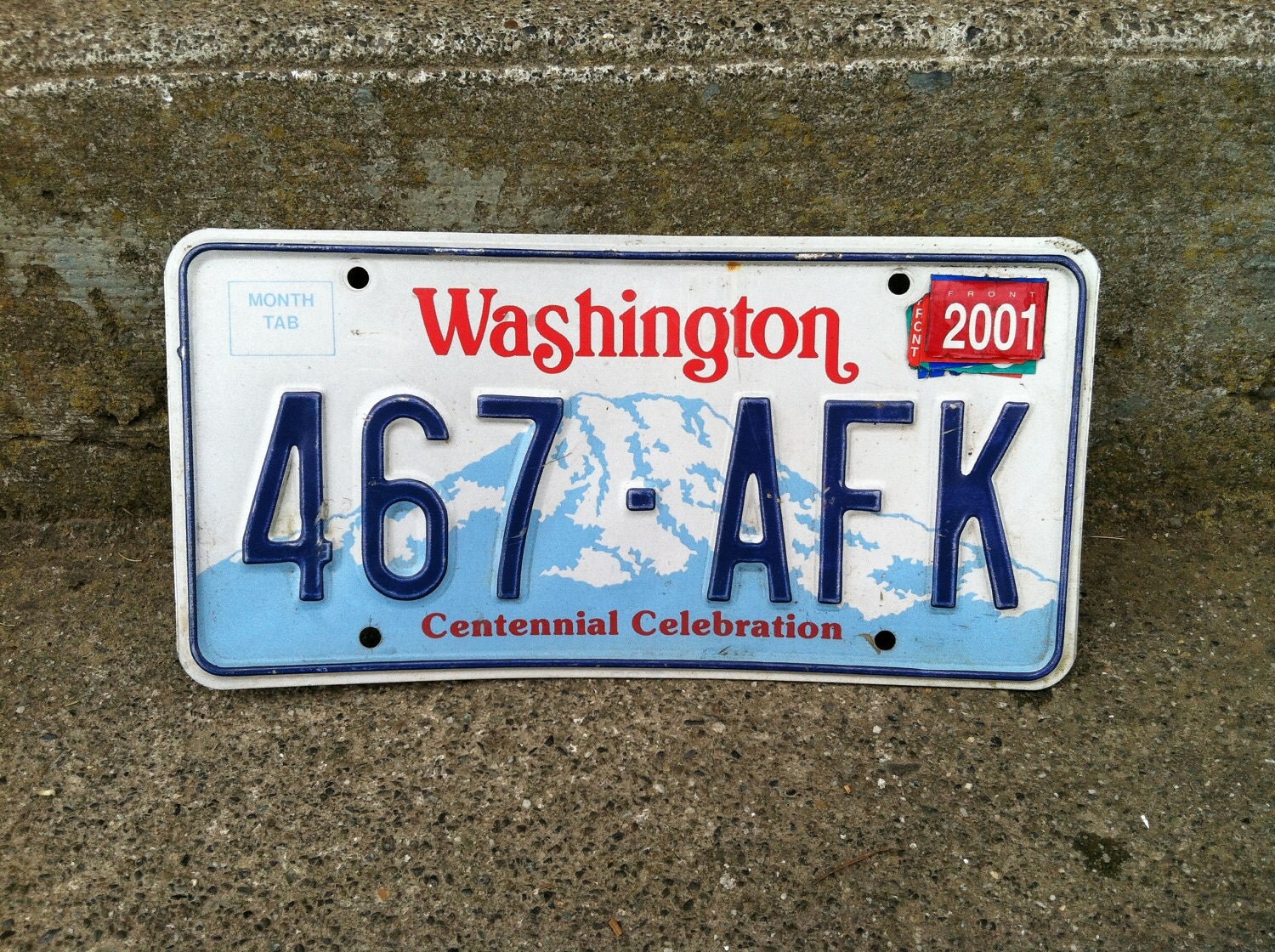 Washington State License Plate by TwoDiggingDivas on Etsy