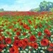 Original Flower Landscape Textured Palette Knife Oil Painting small 8 x 10" Canvas, Poppy Field 2, by NuFineArt
