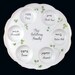 Hand Painted Personalized Judaica Passover Seder Plate
