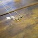 FREE SHIP Sterling Silver -O- Guitar String Necklace with Gold Guitar String end beads