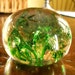 Paper Weight - Green Swirl - Hand Blown - Vintage Circa 1940's