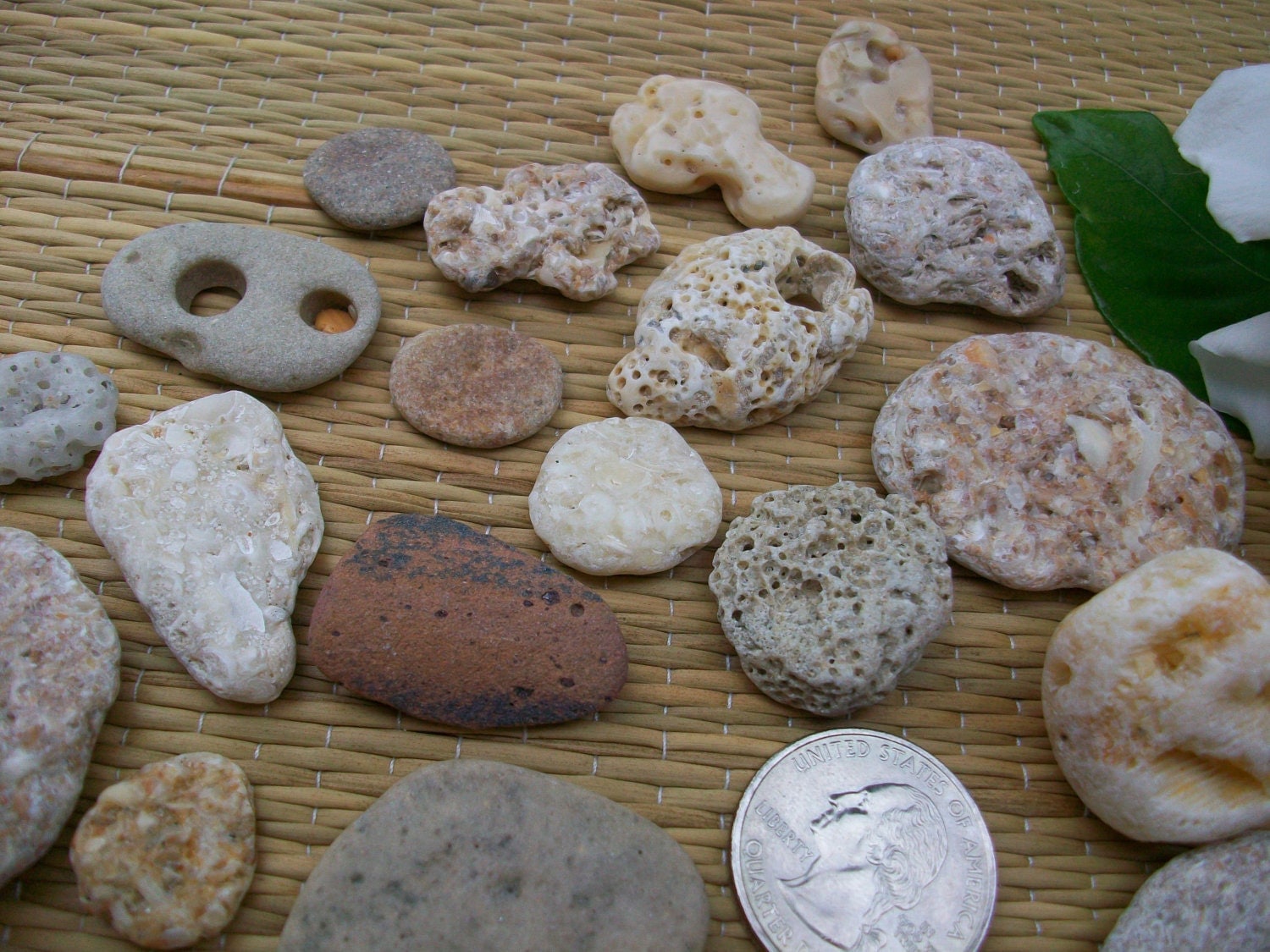 Beach pebbles natural holes ocean stones crafts cottage
