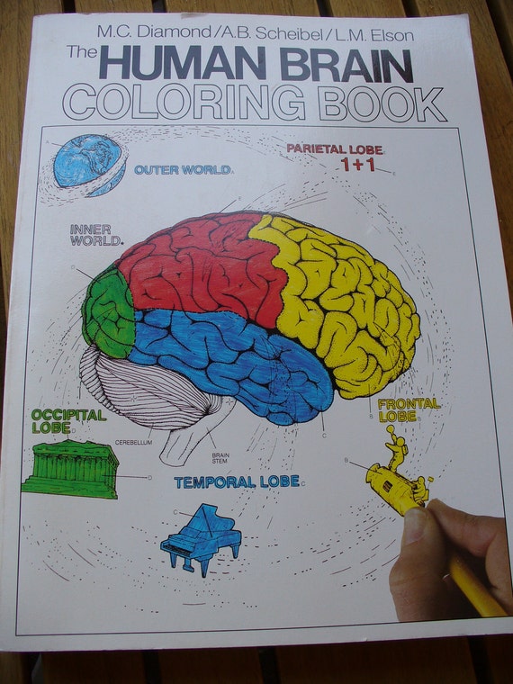 Human Brain Coloring Book