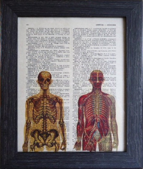 Anatomy Print On An Vintage French Dictionary By Frenchprints